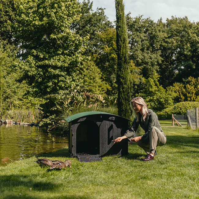 Nestera Duck House, Green and Black