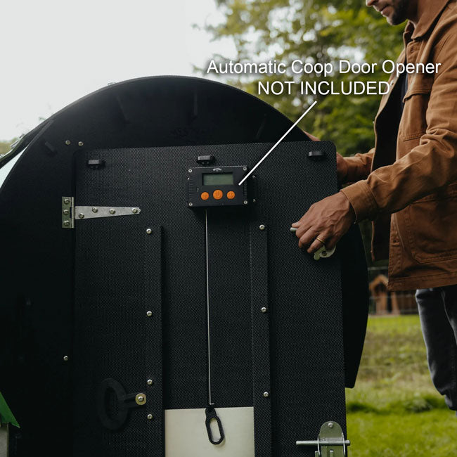 Nestera Chicken Wagon, Green and Black