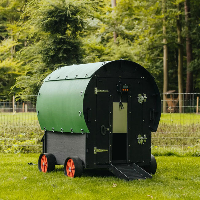 Nestera Chicken Wagon, Green and Black