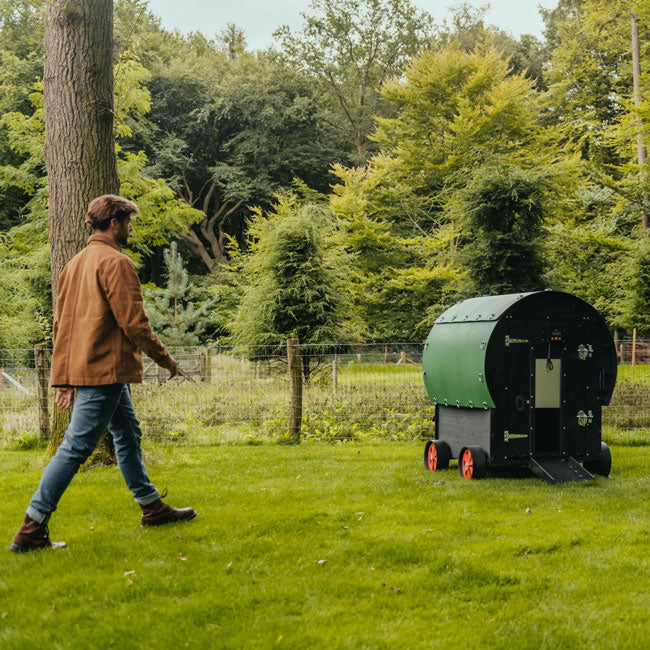 Nestera Chicken Wagon, Green and Black