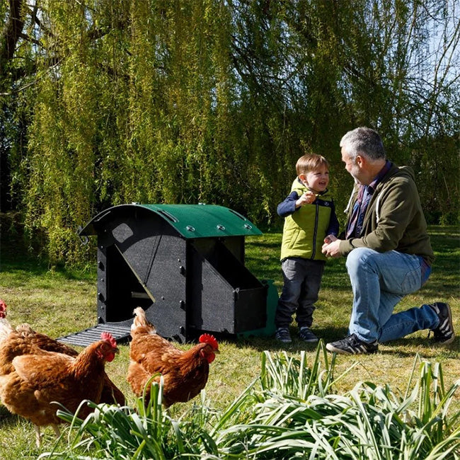 Nestera Small Chicken House, Green and Black