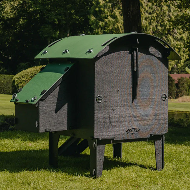 Nestera Small Chicken Lodge, Green and Black