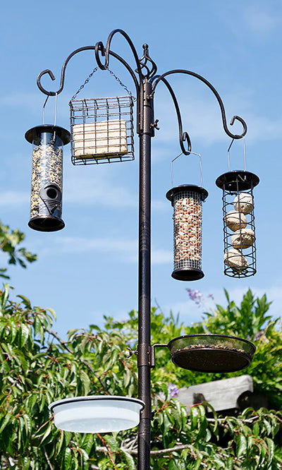 Jester Premium Bird Feeding Station w/Feeders, Brown, 7'3.5"