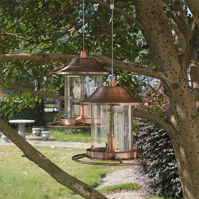 Golden Lantern Hopper Bird Feeder