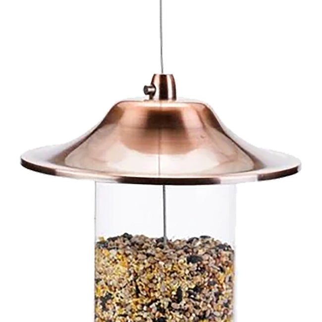Golden Lantern Hopper Bird Feeder