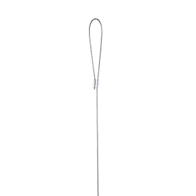 Golden Lantern Hopper Bird Feeder