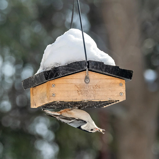 Nature's Way Cedar Upside-Down Feeder & Hot Pepper Suet Kit