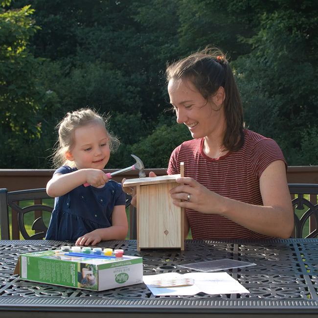 Nature's Way My First Bird House DIY Kits, Club Pack of 8