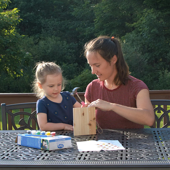 Nature's Way My First Wren House DIY Kits, Club Pack of 8