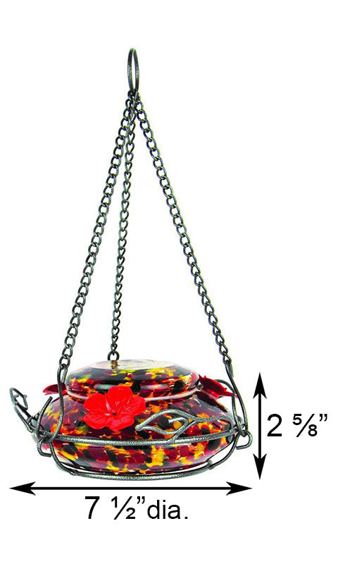 Nature's Way Hummingbird Feeder w/Perch Ring & Nectar Kit