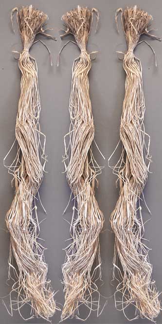 Panacea Natural Bagged Raffia, 750 cubic inches