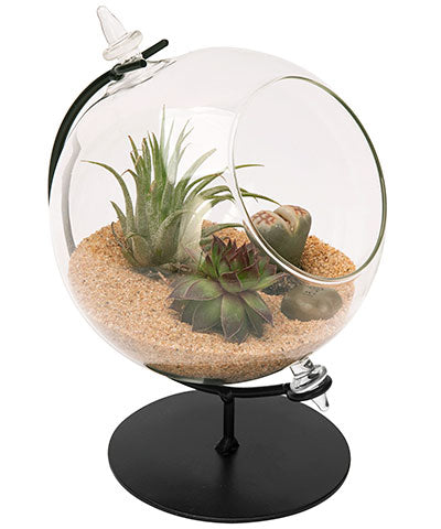 Panacea Desktop Glass Terrariums w/Metal Stands, Pack of 2