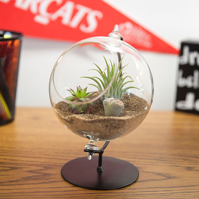 Panacea Desktop Glass Terrariums w/Metal Stands, Pack of 2