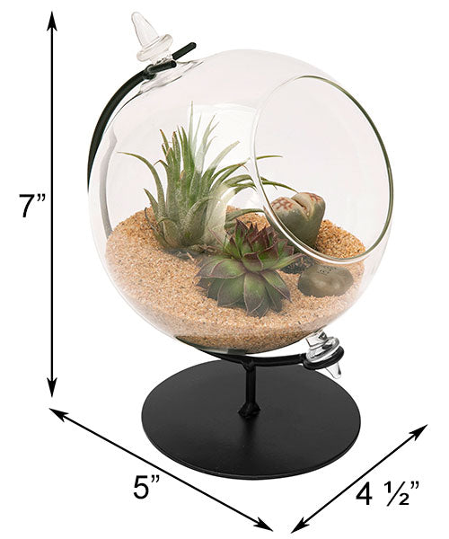 Panacea Desktop Glass Terrariums w/Metal Stands, Pack of 2