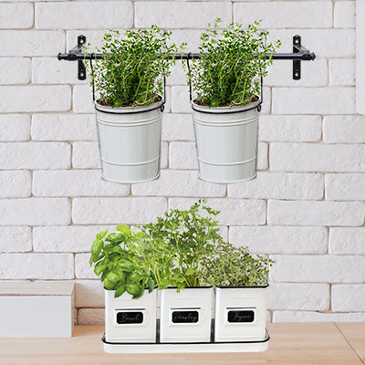 Panacea Vintage Milkhouse Deluxe Planter Package