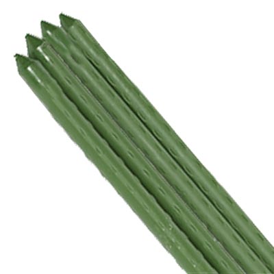 Panacea Coated Plant Stake, Green, 24", Pack of 50