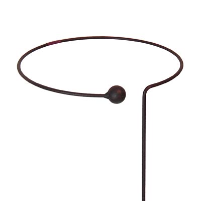 Panacea Wraparound Plant Hoops, 10" x 40", Pack of 12