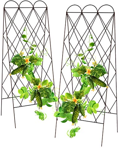 Panacea Rustic Heirloom Folding Trellises, 60"H, Pack of 2