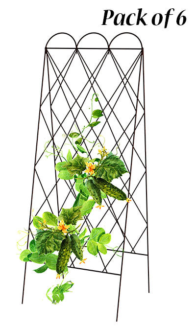 Panacea Rustic Heirloom Folding Trellises, Brown, Pack of 6