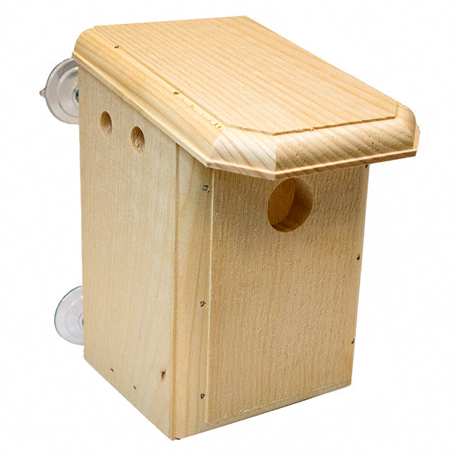 Window Nest Box with Nest Lift by Prime Retreat