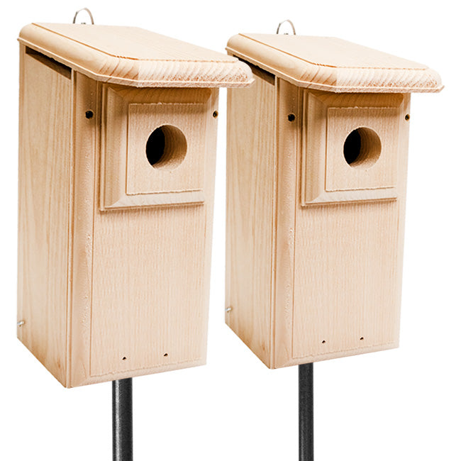 Observation Eastern Bluebird Houses with Poles Kit