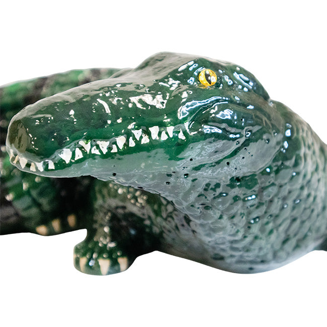 Baby Gator Statue, Hand Painted, by Prime Retreat