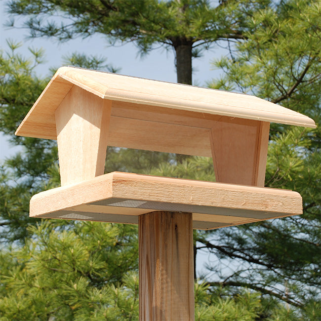 Coveside Hopper Feeder & Waste Free Seed by Prime Retreat