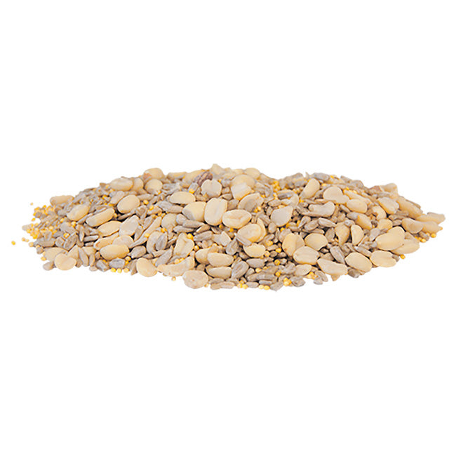 Coveside Hopper Feeder & Waste Free Seed by Prime Retreat