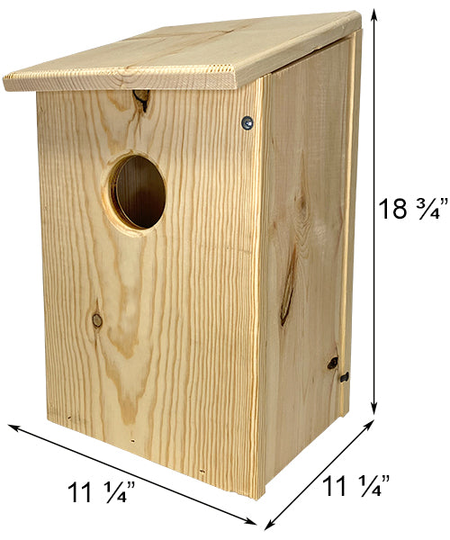 Screech Owl, Saw-Whet, and Kestrel House by Prime Retreat
