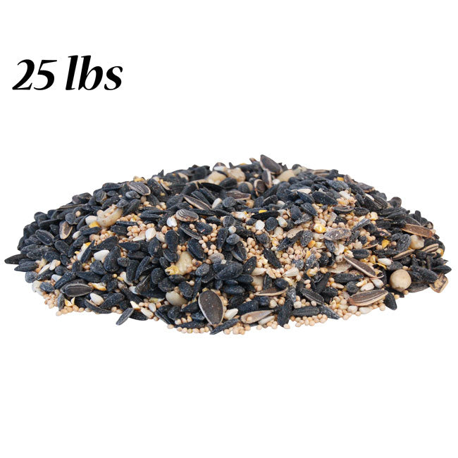 Rustic Farmhouse Star Bird Feeder with Divine Blend Seed