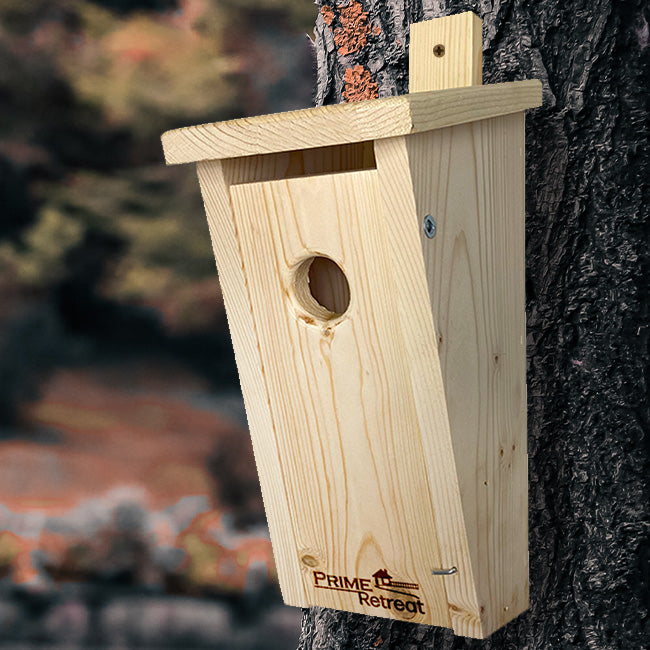 Slant-Front Bluebird Houses w/Predator Guards & Book Bundle