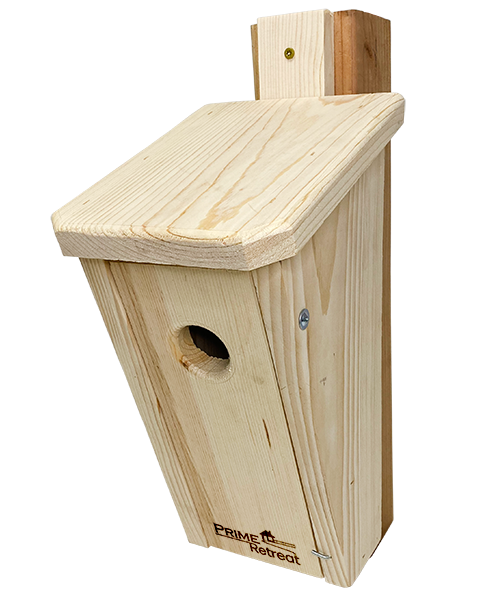Slant-Front Bluebird Houses w/Predator Guards & Book Bundle
