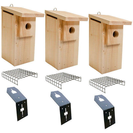 Basic Eastern Bluebird Trail Package by Prime Retreat