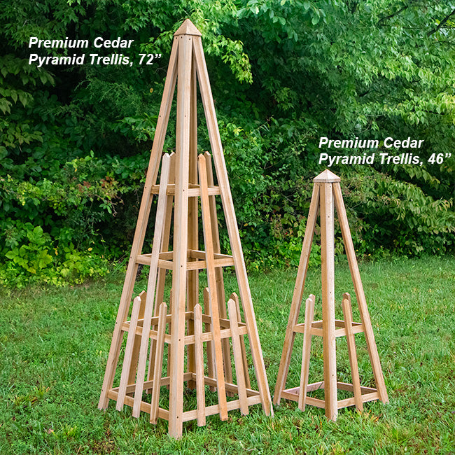 Cedar Standard Pyramid Trellises, 46"H, Pack of 3