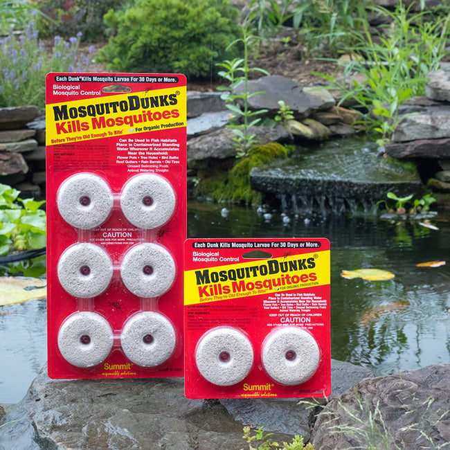 Glass Poppy Bird Bath and Stand with Mosquito Dunks®  Kit