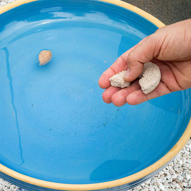 Glass Poppy Bird Bath and Stand with Mosquito Dunks®  Kit