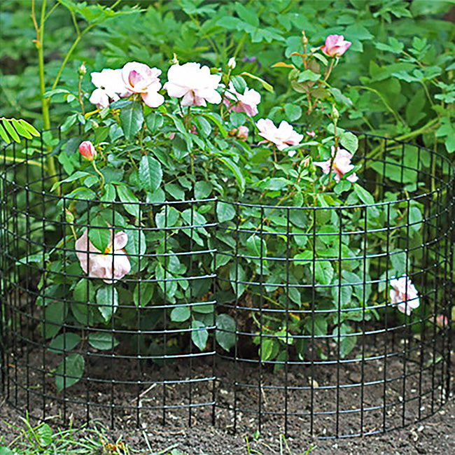 Bunny Barricades & Animal Stopper Spray Kit by Prime Retreat