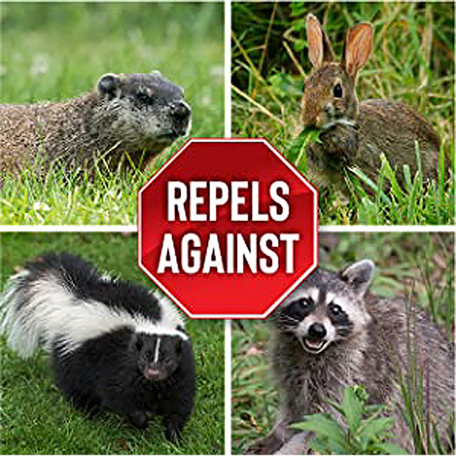 Bunny Barricades & Animal Stopper Spray Kit by Prime Retreat