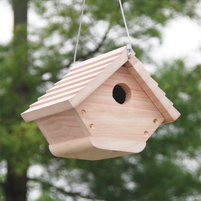 Beginning Birding Package by Prime Retreat