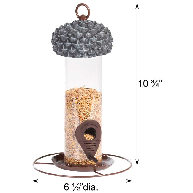 Beginning Birding Package by Prime Retreat