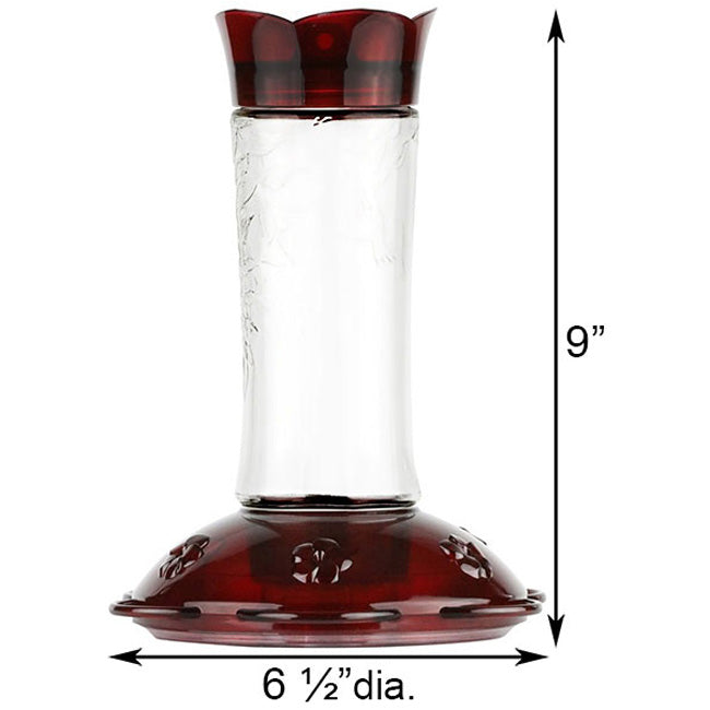 Beginning Hummingbird Feeding Kit by Prime Retreat