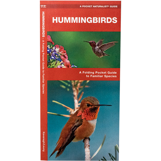 Beginning Hummingbird Feeding Kit by Prime Retreat