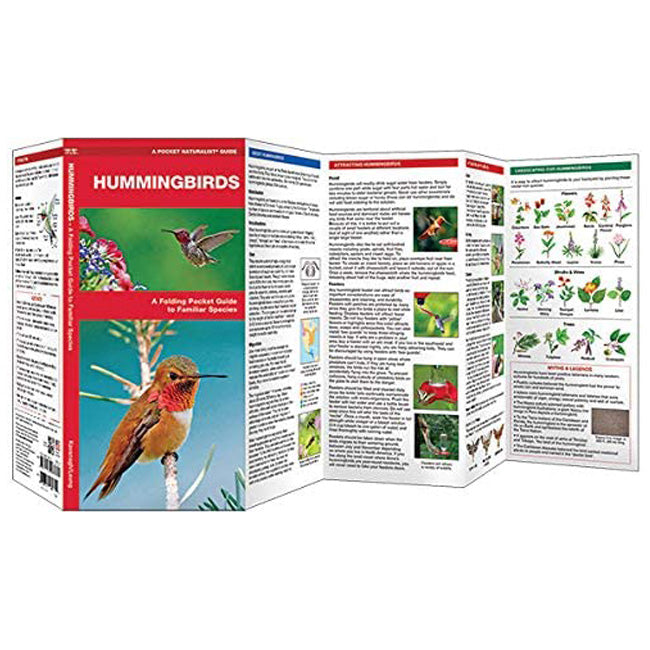 Beginning Hummingbird Feeding Kit by Prime Retreat
