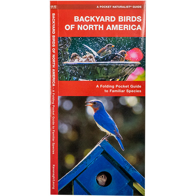 Deluxe Window Nest Box DIY Kit by Prime Retreat