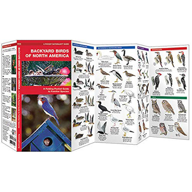 Deluxe Window Nest Box DIY Kit by Prime Retreat