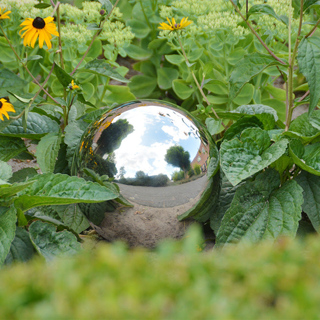 Stainless Steel Gazing Globe Assortment by Prime Retreat