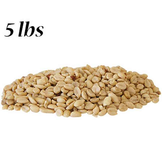 Peanut Tube and Hopper Bird Feeder Set with 10 lbs. Seed