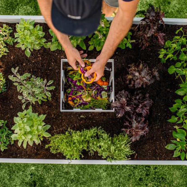 Classic Keyhole Garden Bed and Trowel by Prime Retreat