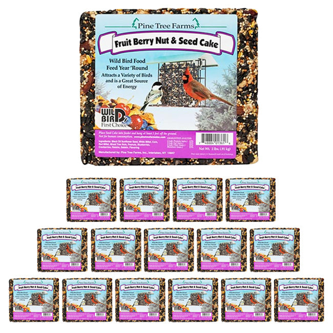 Pine Tree Fruit, Berry, Nut, & Seed Cakes, 2 lbs, Pack of 16