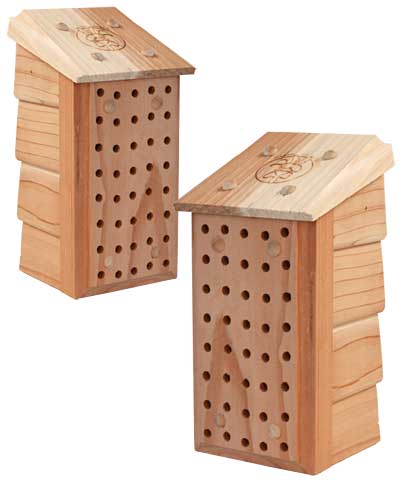 Songbird Essentials Mason Bee Lodges, Pack of 2
